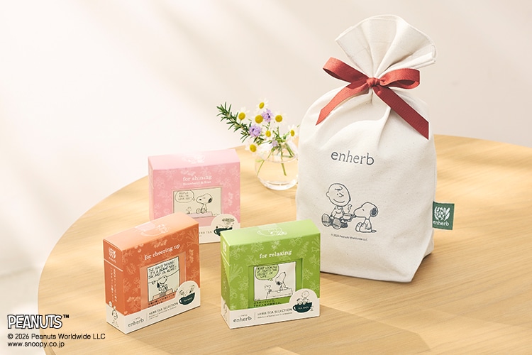 PEANUTS パッケージのギフトセット